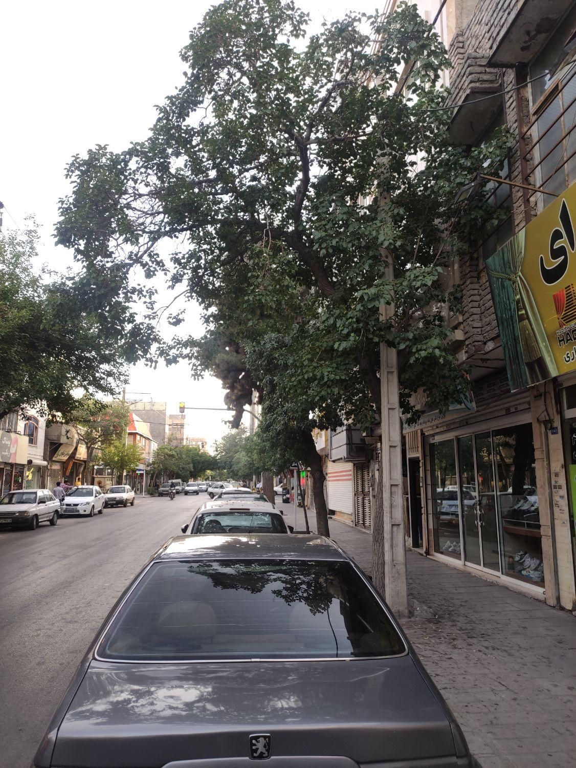 پژو پارس ELX-XU7P سفارشی - 1392