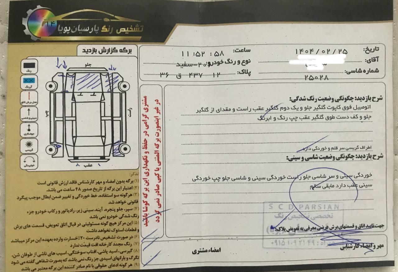 پژو 206 تیپ 2 - 1395