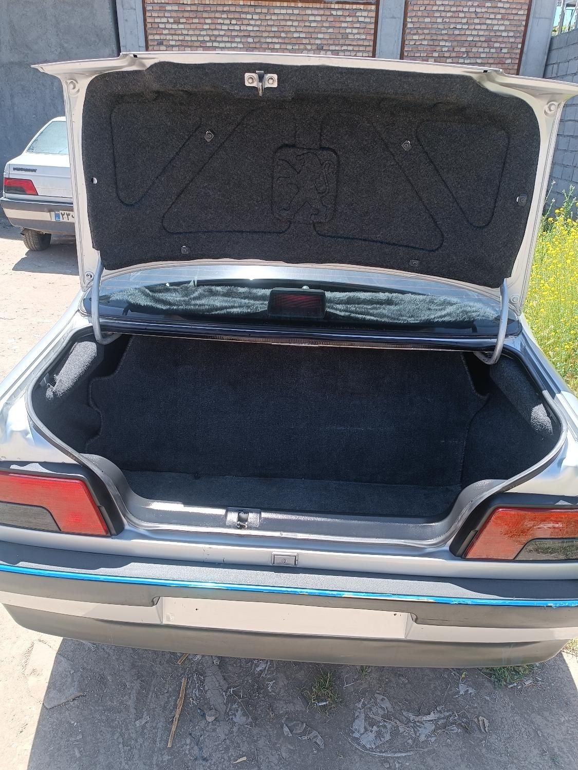 پژو 405 GLX - دوگانه سوز - 1386