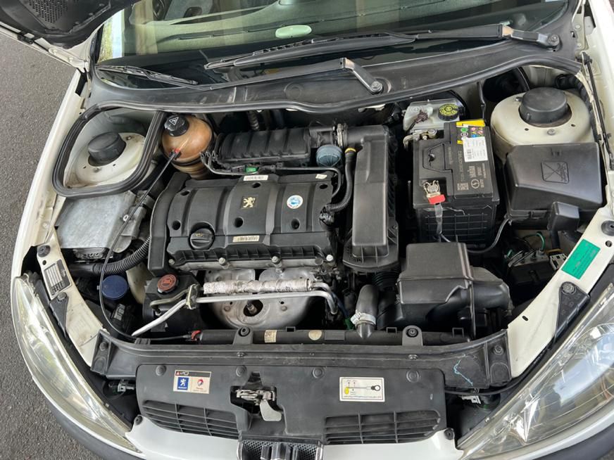 پژو 206 SD v9 - 1387