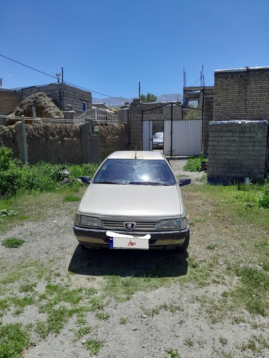 پژو 405 GLX - دوگانه سوز - 1383