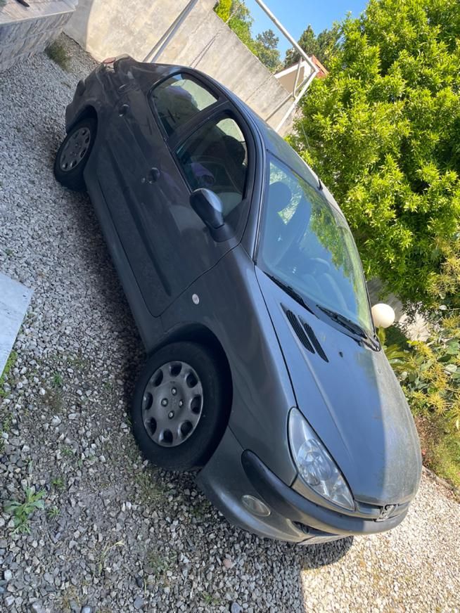 پژو 206 SD v1 - 1388