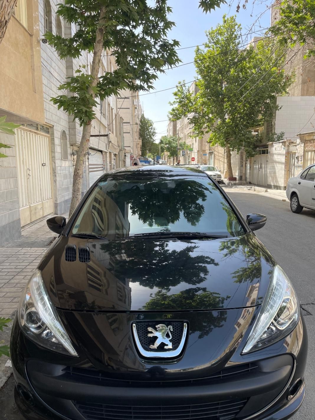 خودرو پژو، 207 آگهی ann_18197423