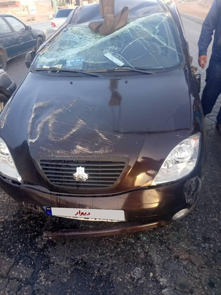 تیبا 2 EX - 1396