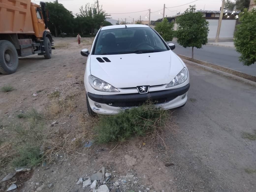 پژو 206 SD v20 - 1391