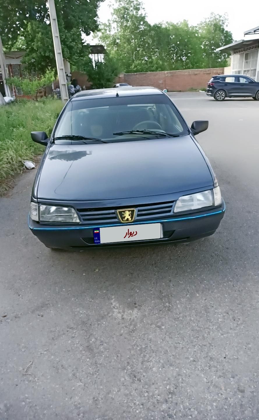 پژو 405 GLX - 1391