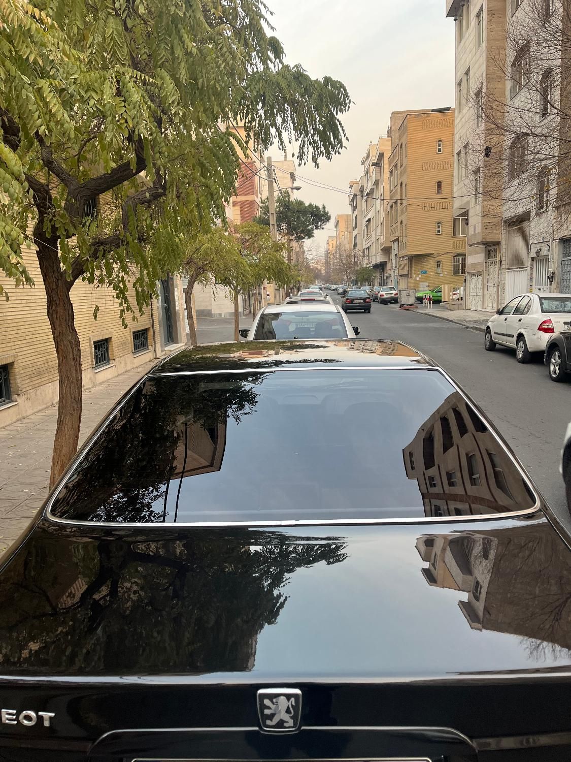 پژو پارس ELX-XU7P سفارشی - 1401