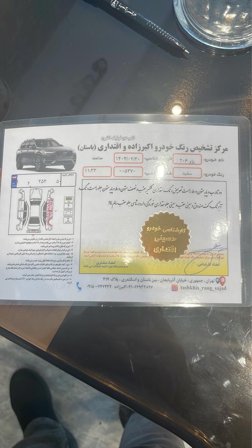 پژو 206 تیپ 2 - 1399