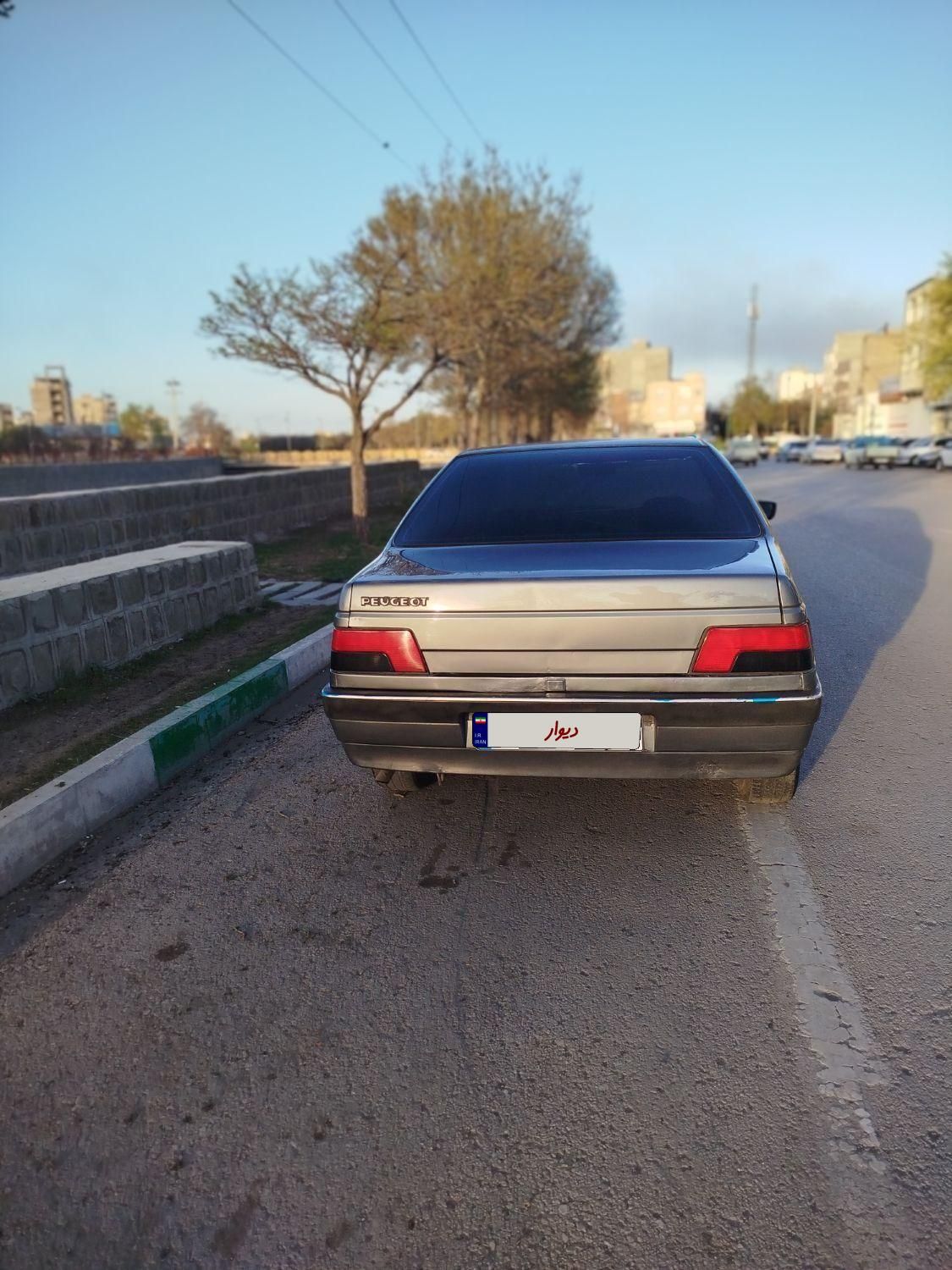 پژو 405 GLX - دوگانه سوز - 1391