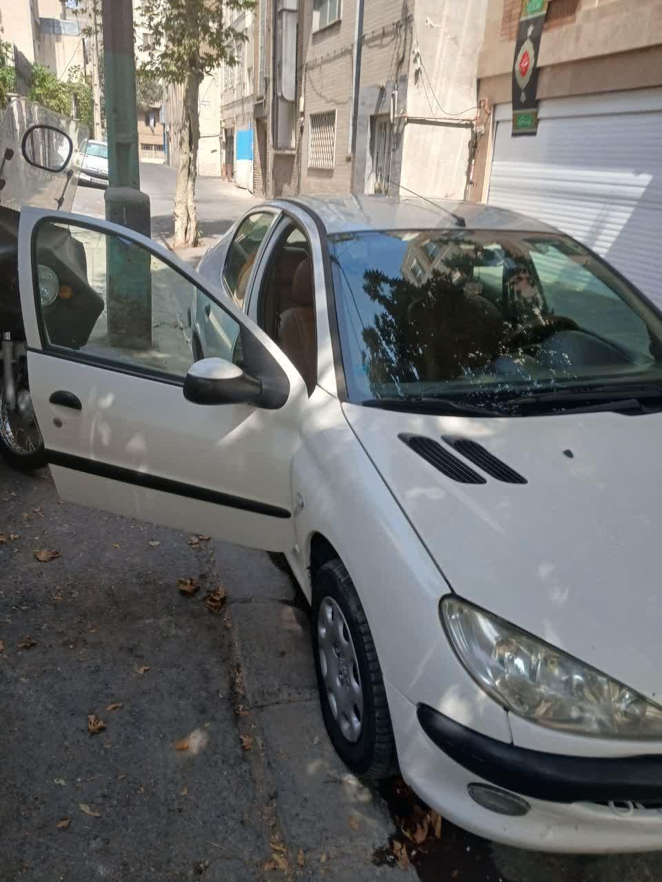پژو 206 SD v8 - 1393