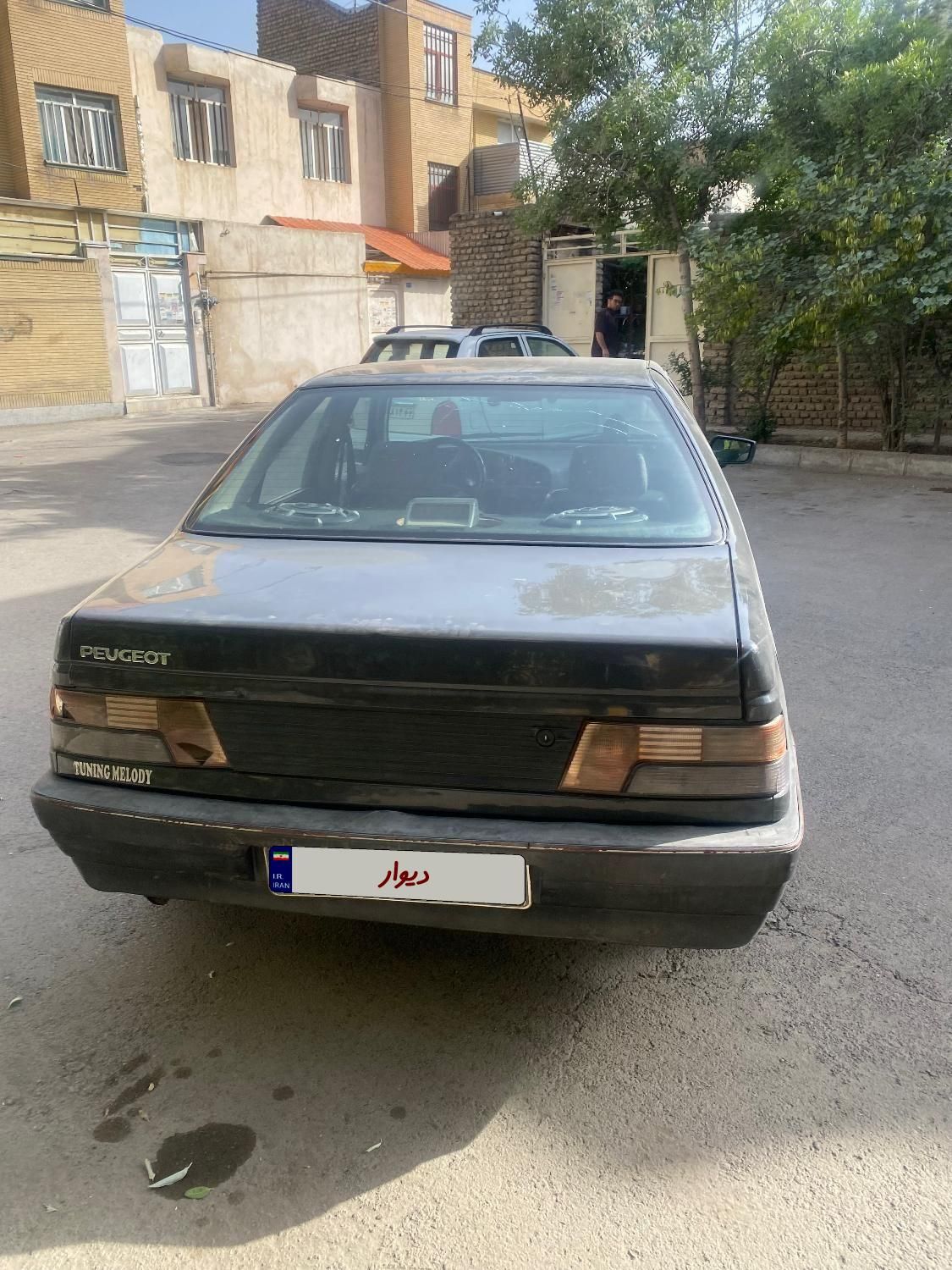 پژو روآ دوگانه سوز - 1386