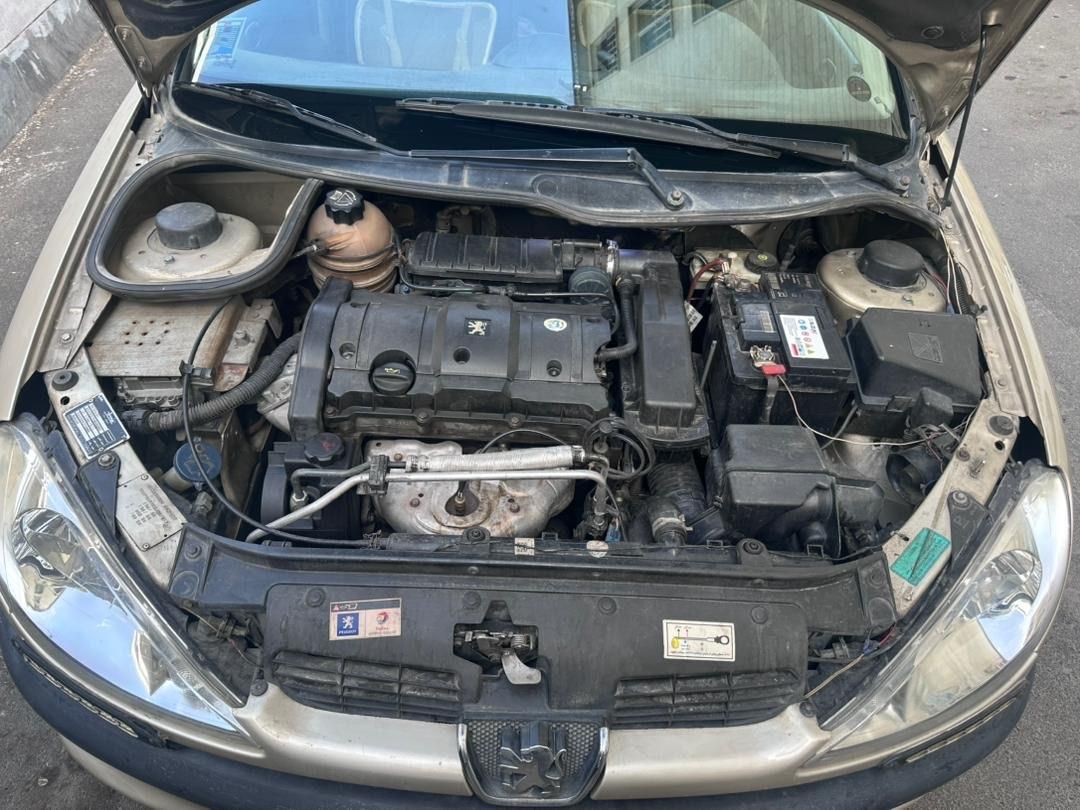 پژو 206 SD v1 - 1386