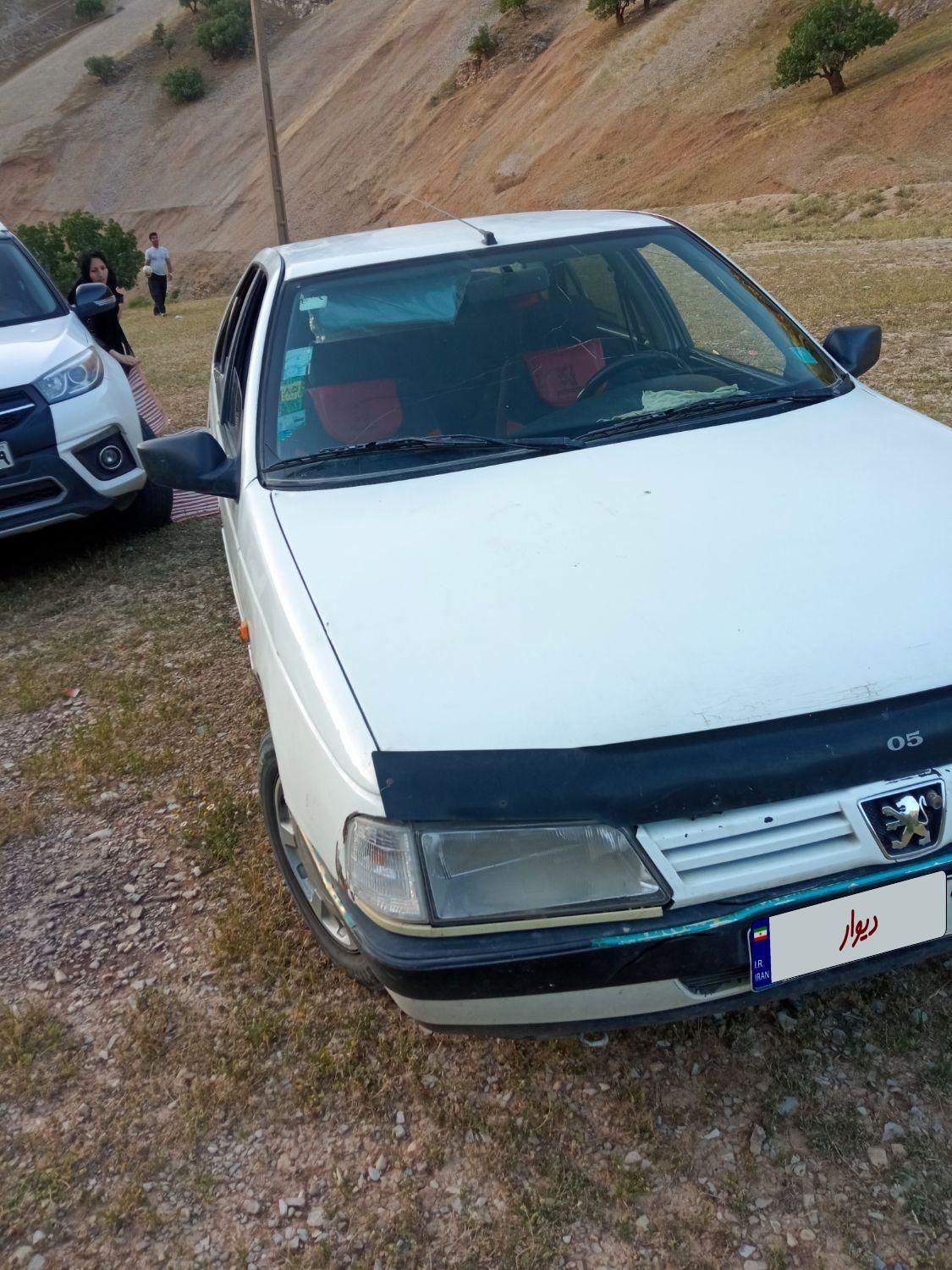 پژو آردی دوگانه سوز CNG - 1382