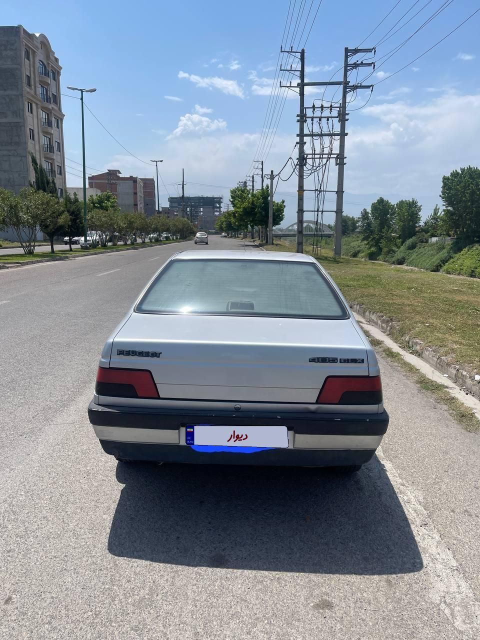 پژو 405 GLX - دوگانه سوز - 1394