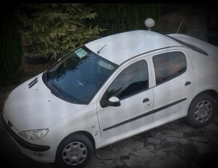 پژو 206 SD v8 - 1395