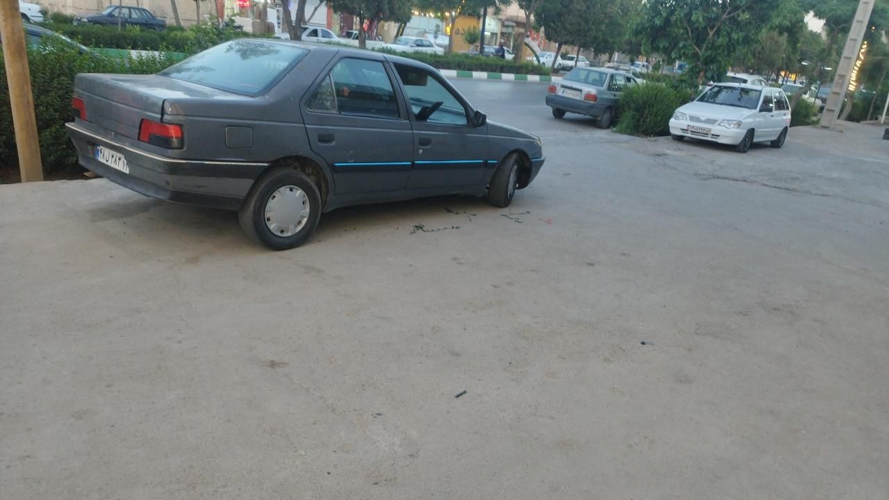 پژو 405 GL - 1373