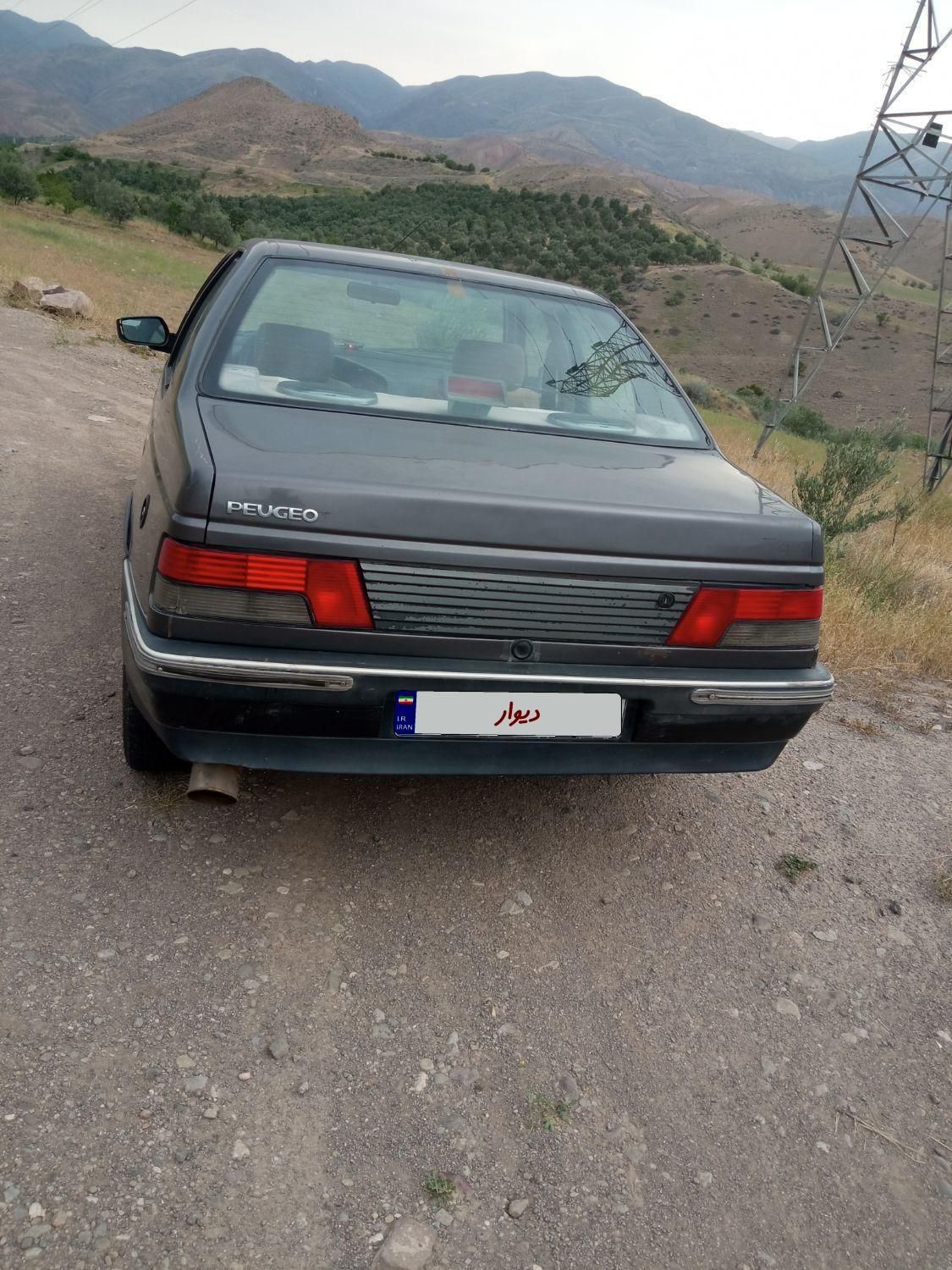 پژو روآ دوگانه سوز - 1385
