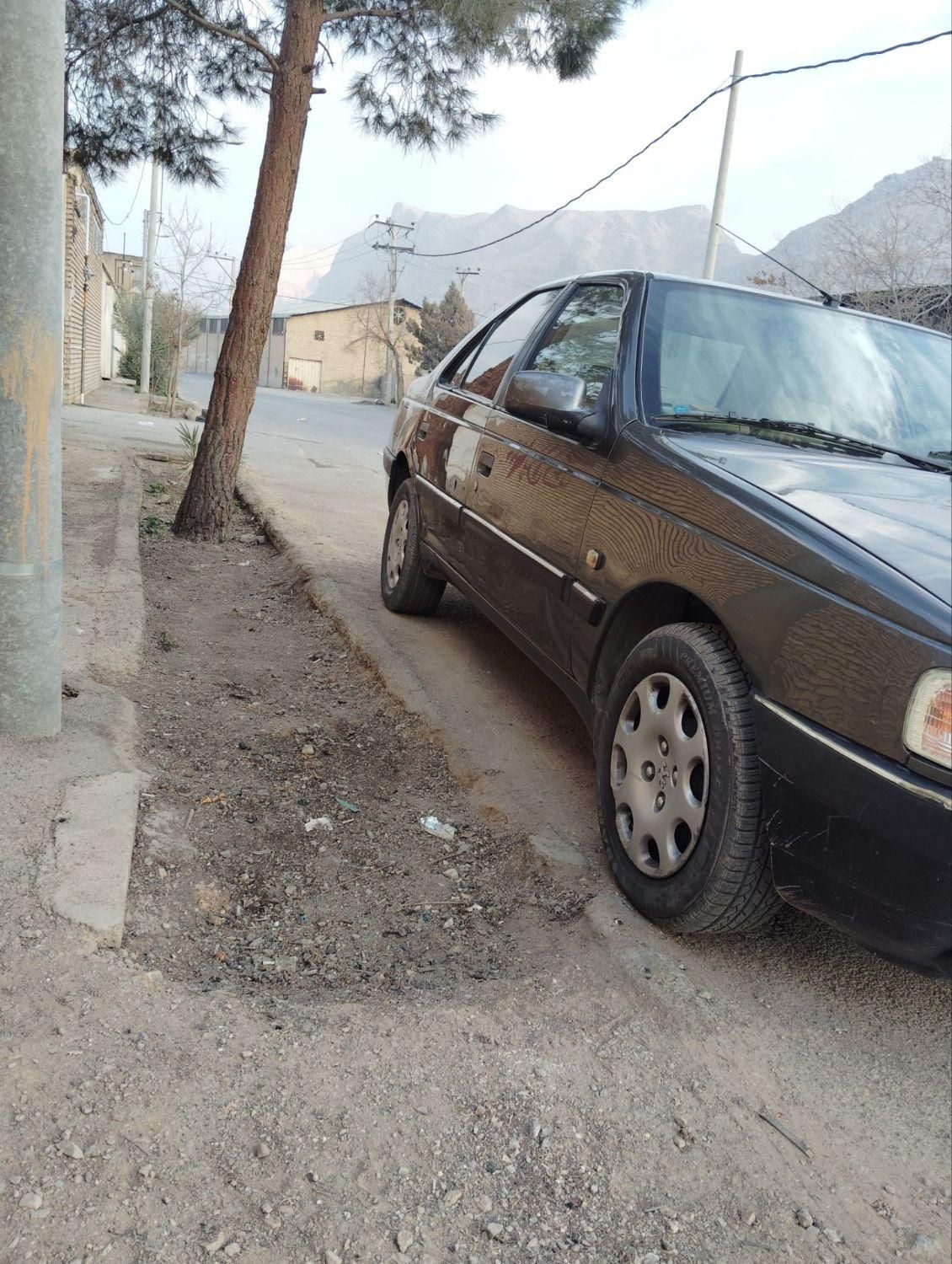 پژو 405 GLX - دوگانه سوز - 1387