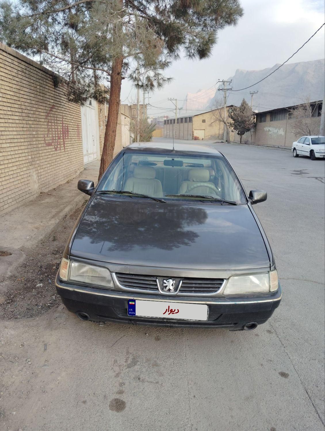 پژو 405 GLX - دوگانه سوز - 1387