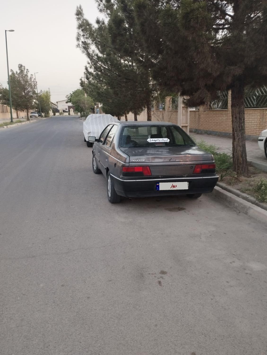 پژو روآ دوگانه سوز - 1386