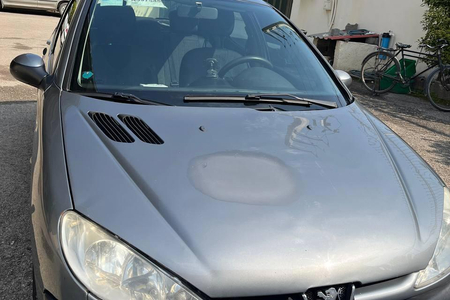 پژو 206 SD v8 - 1396