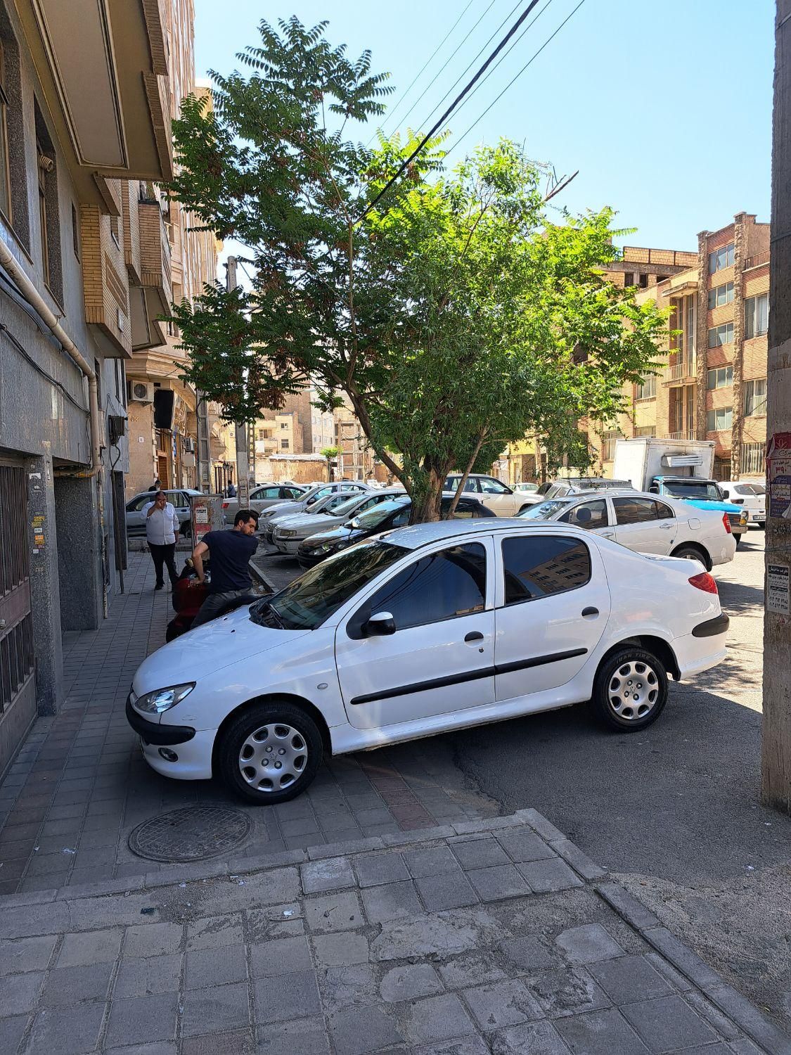 پژو 206 SD v8 - 1390