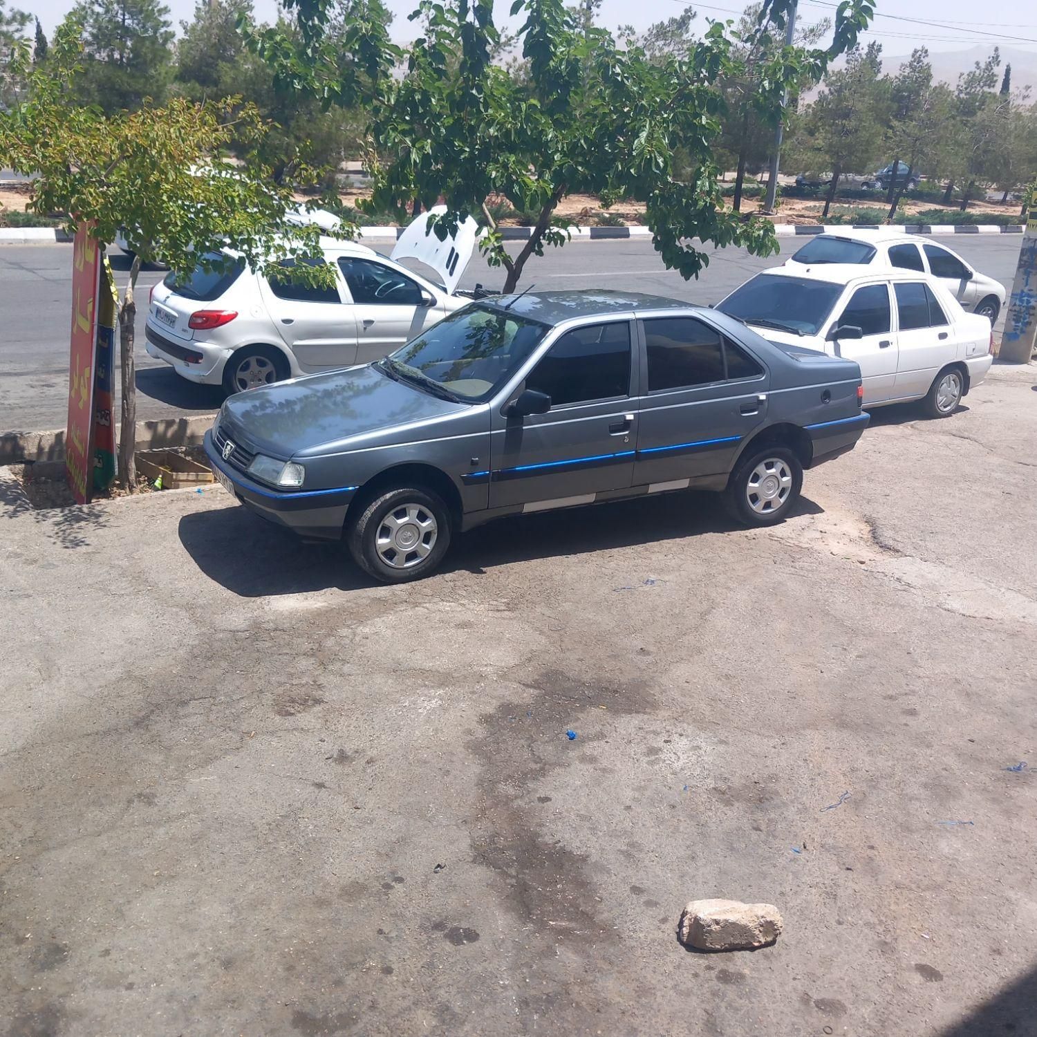 پژو 405 GLX - دوگانه سوز - 1391