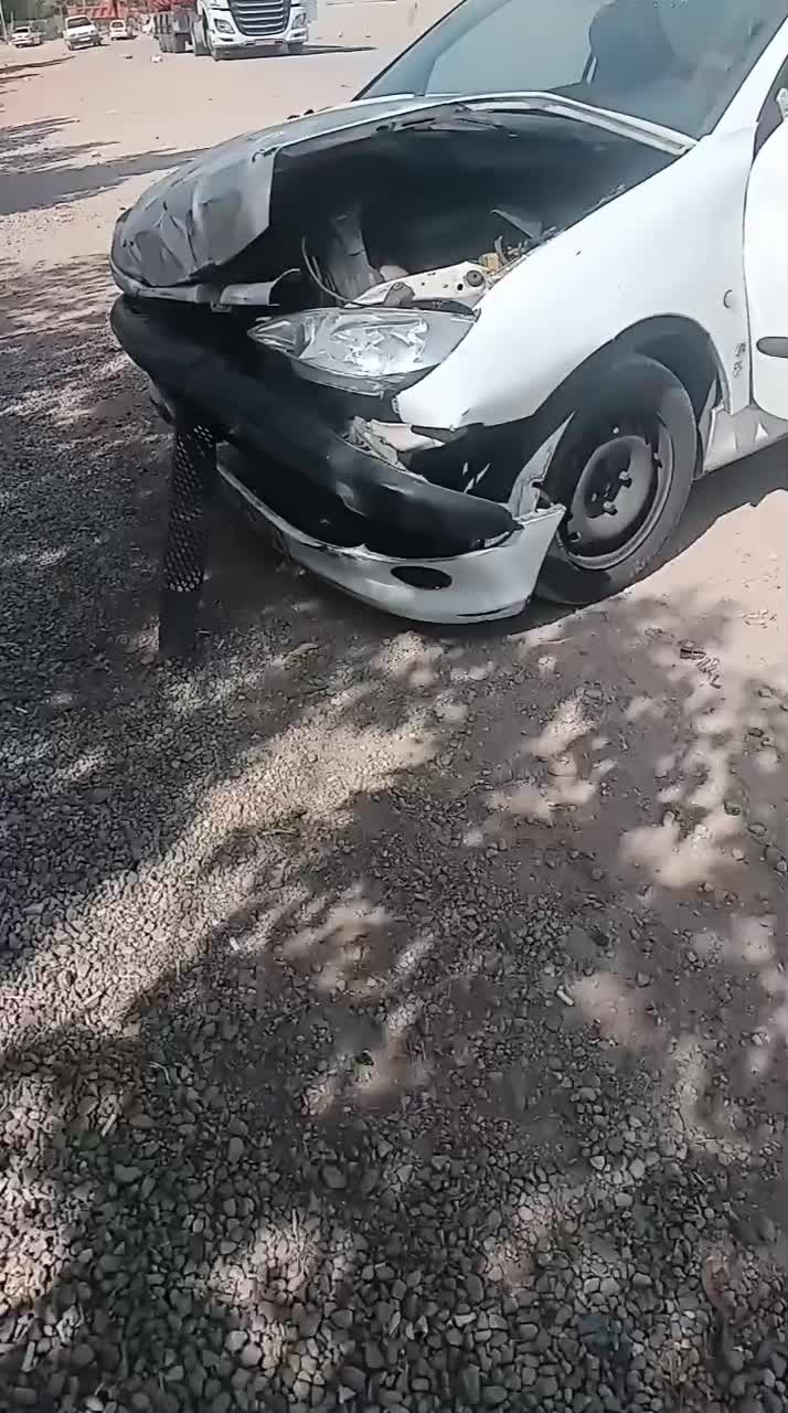 پژو 206 SD v8 - 1395