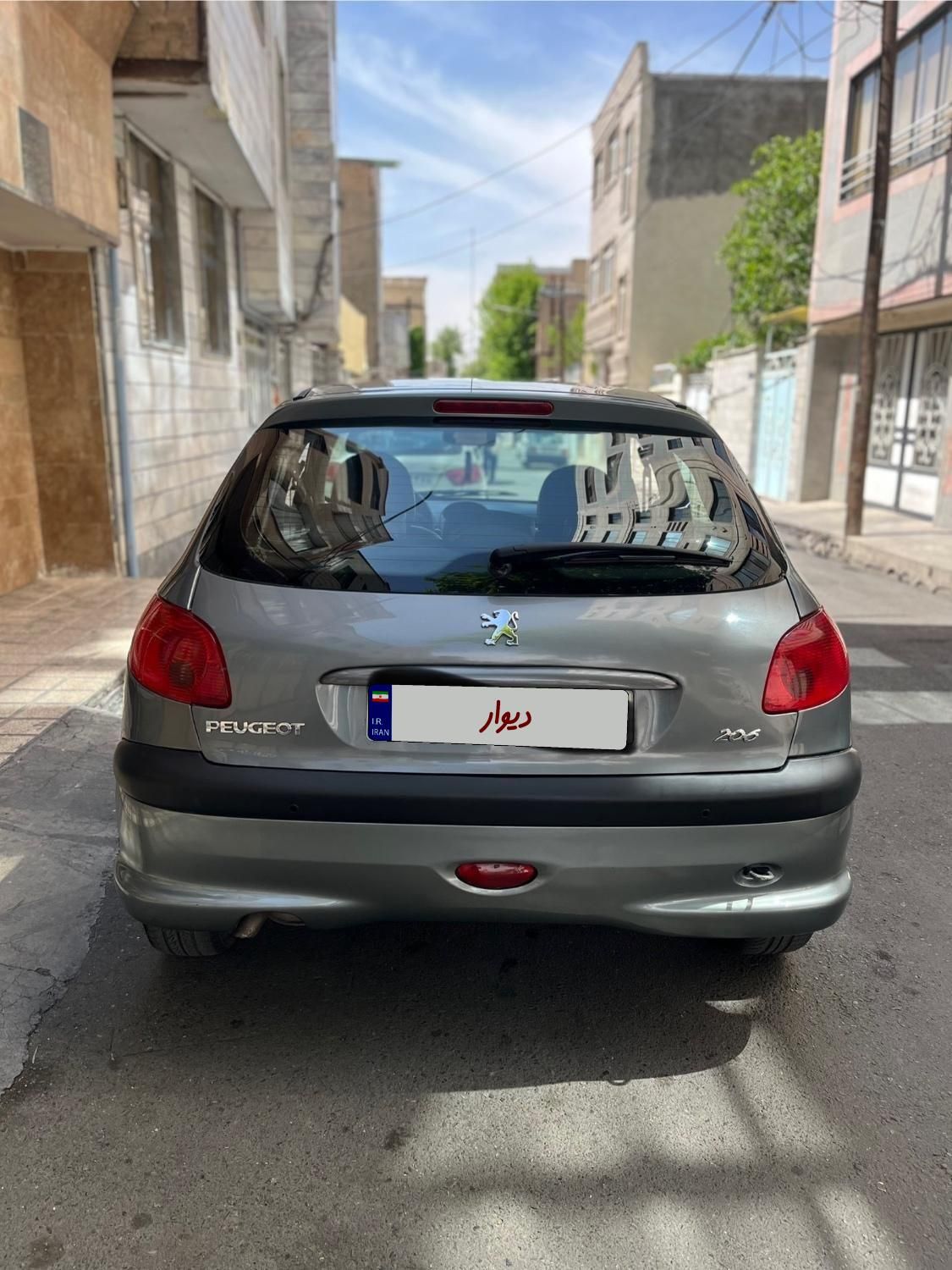 پژو 206 تیپ 5 - 1393