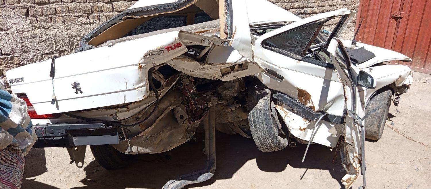 پژو 405 SLX بنزینی TU5 - 1394