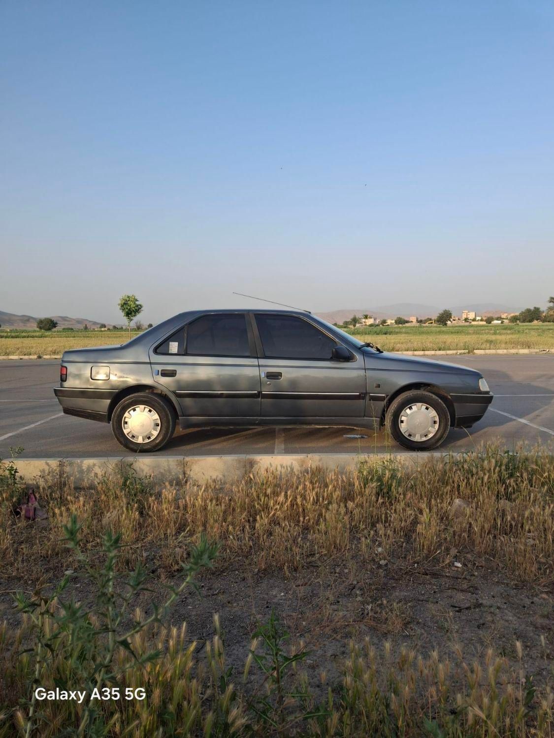 پژو 405 GLX - دوگانه سوز - 1395