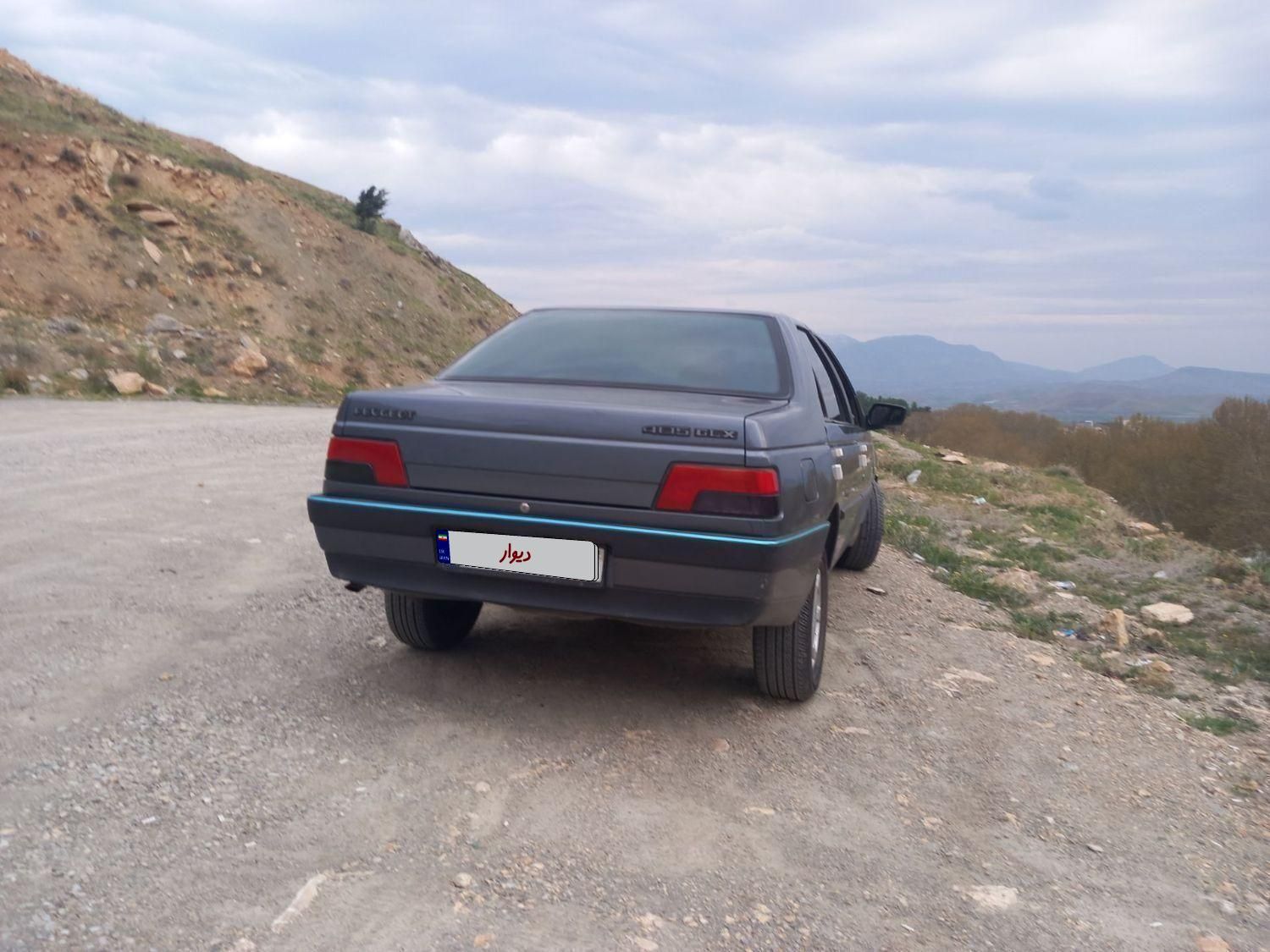 پژو 405 GLX - دوگانه سوز - 1394