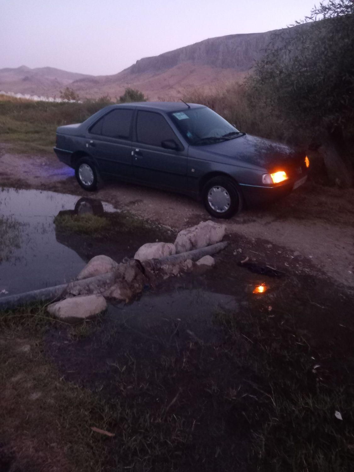 پژو 405 GLX - دوگانه سوز - 1394