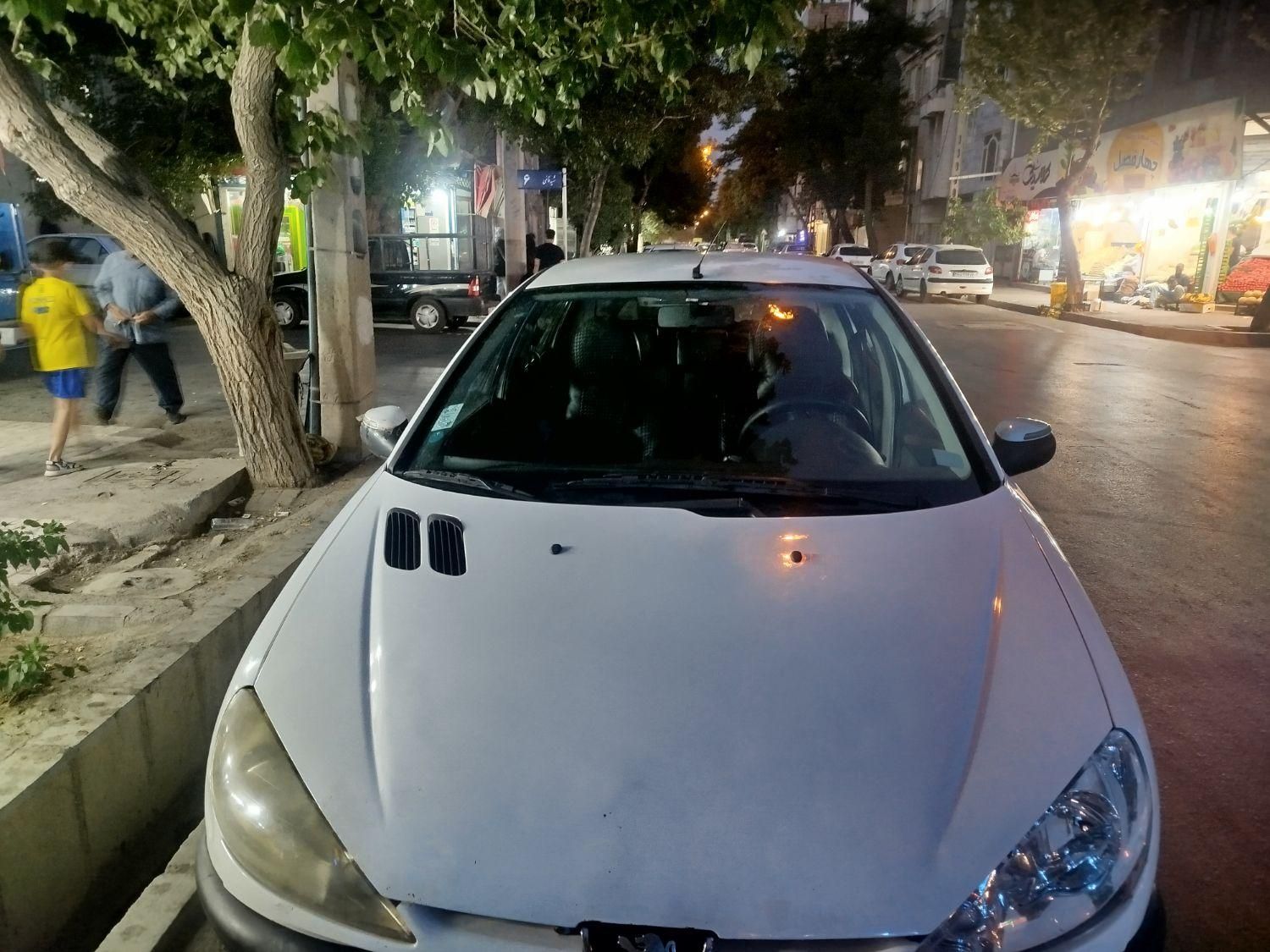 پژو 206 SD v8 - 1395