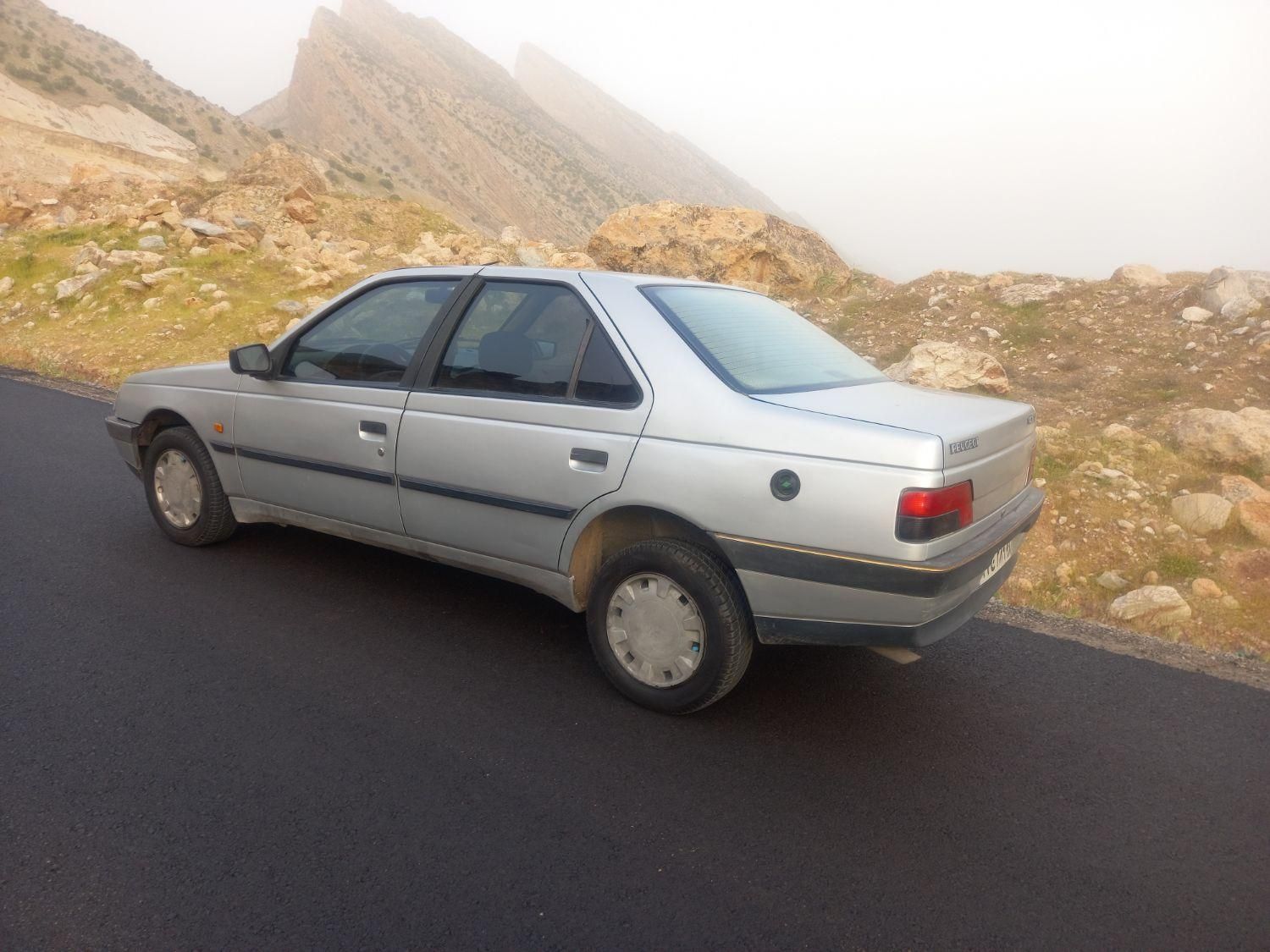 پژو 405 GLX - دوگانه سوز - 1394
