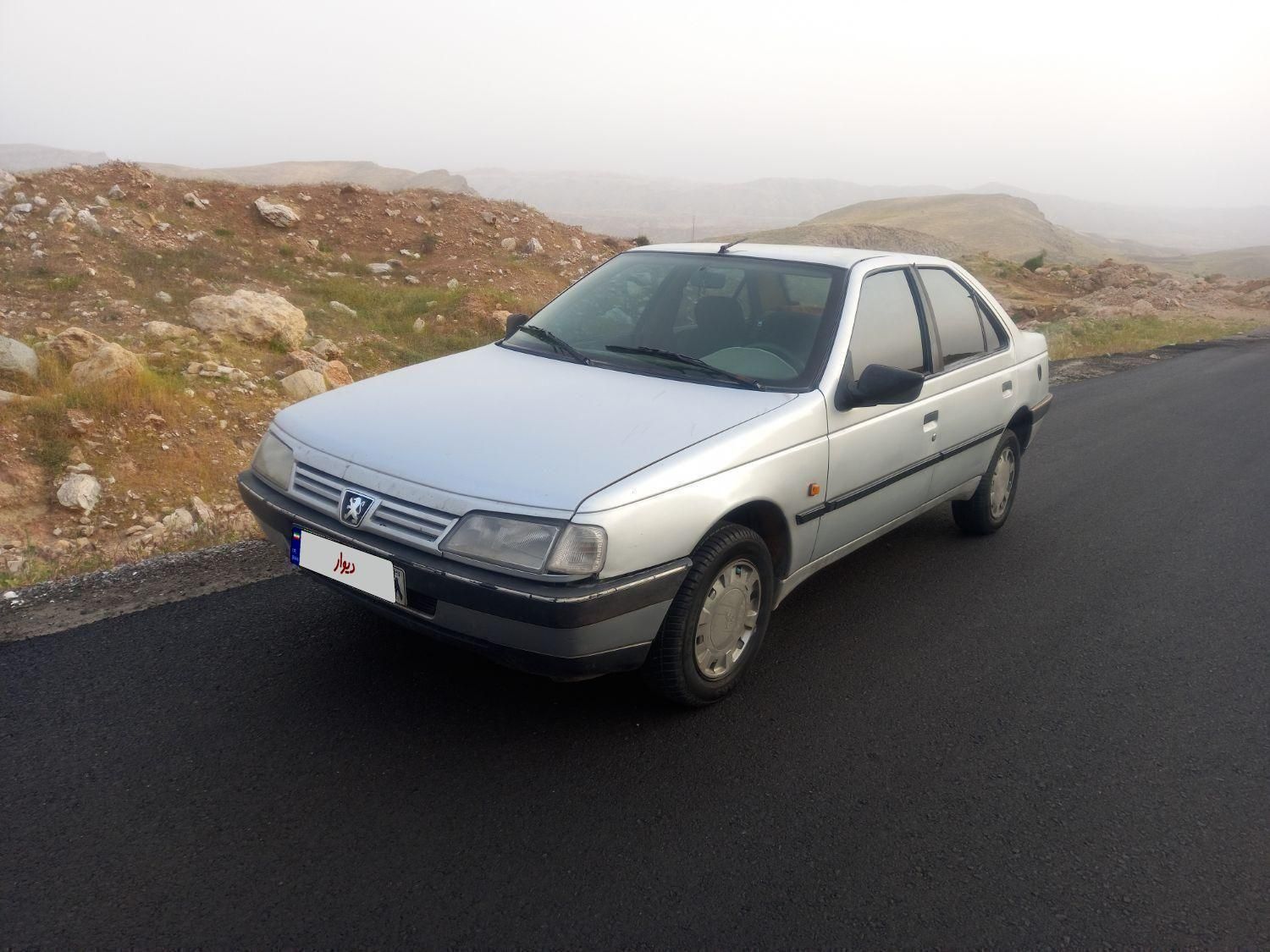 پژو 405 GLX - دوگانه سوز - 1394
