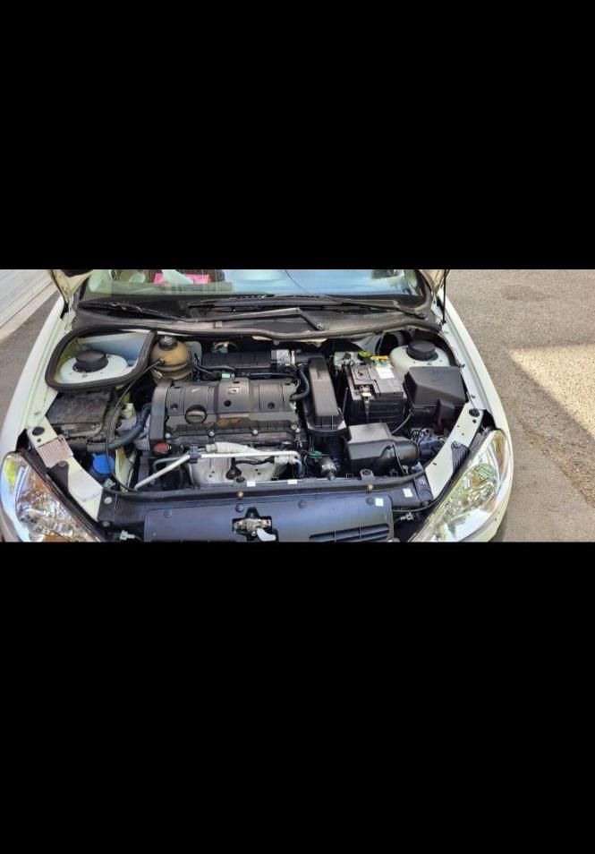 پژو 206 SD v8 - 1390