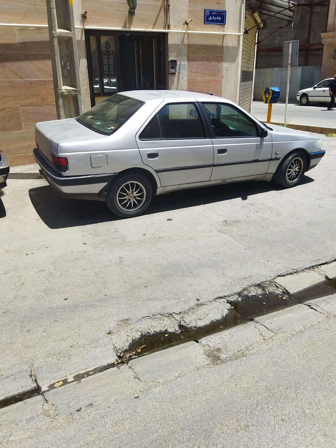 پژو 405 GL - دوگانه سوز CNG - 1369