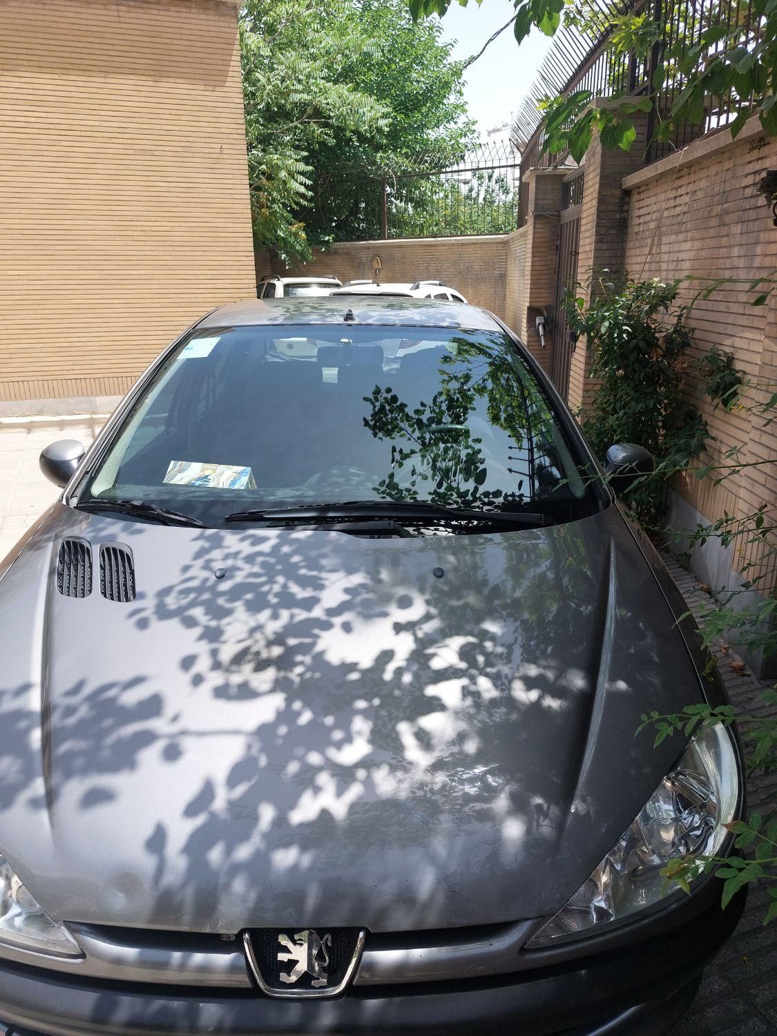 پژو 206 SD v8 - 1394