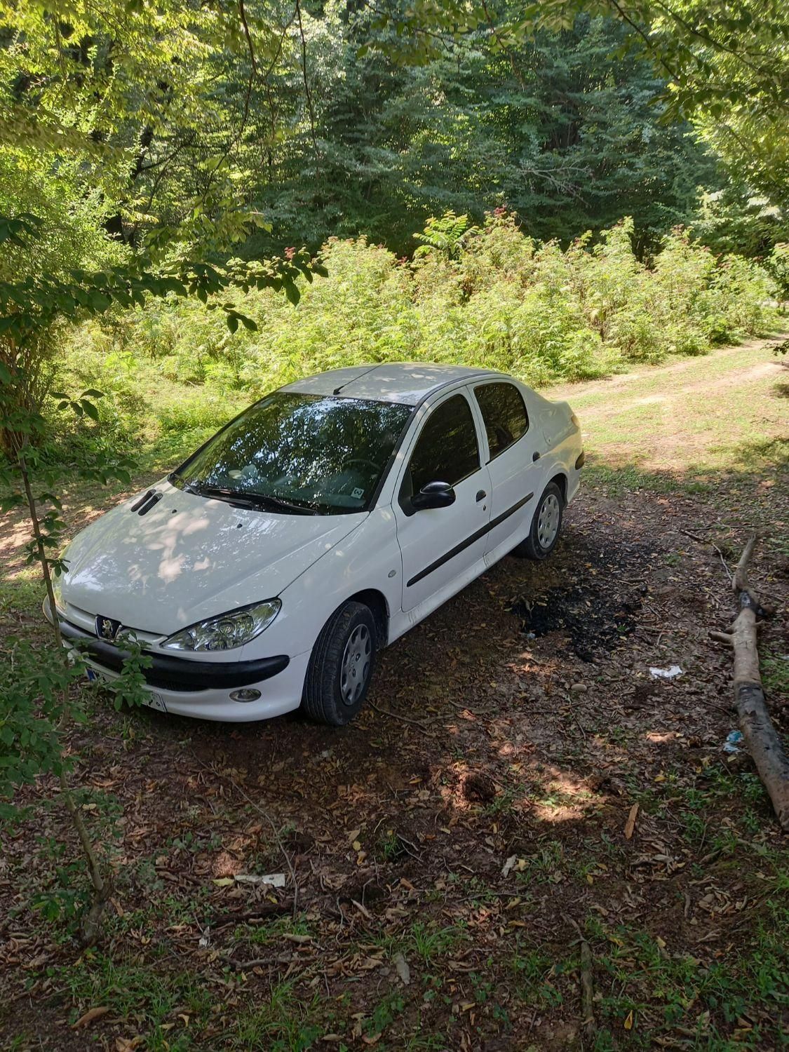 پژو 206 SD v2 - 1391