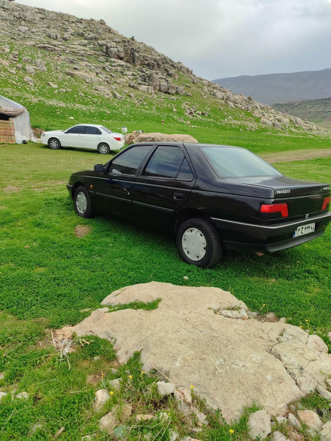 پژو 405 GLX - 1384