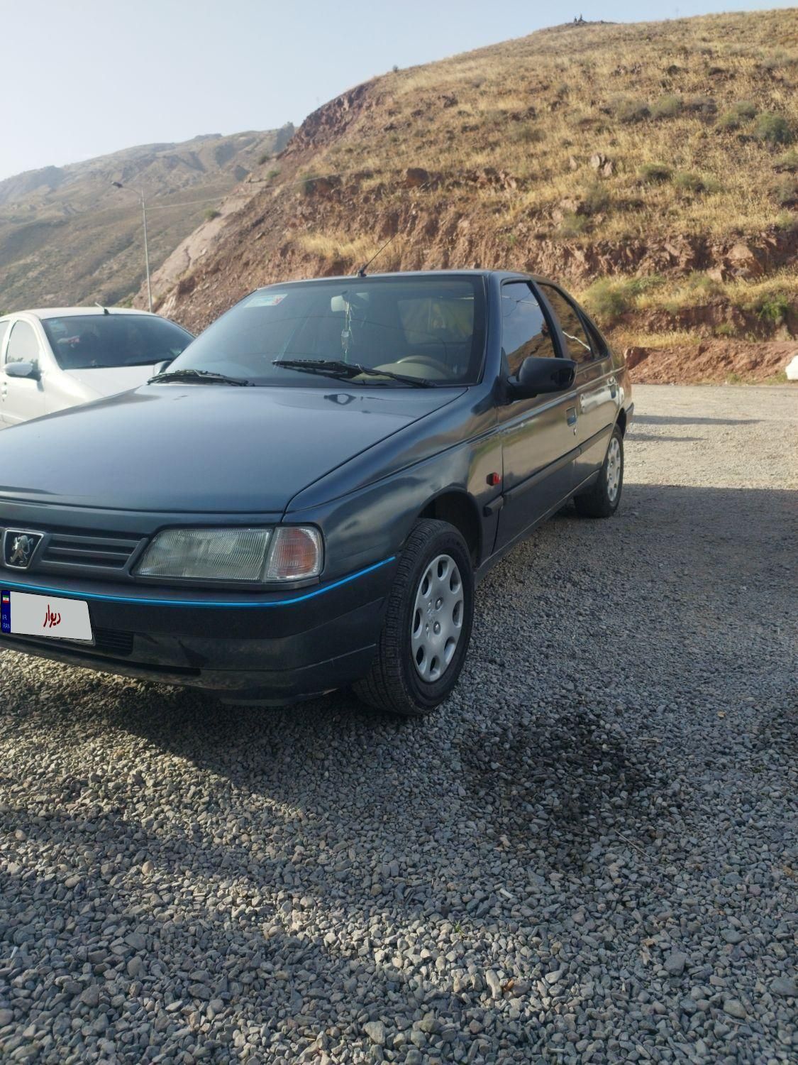 پژو 405 GL - دوگانه سوز CNG - 1370