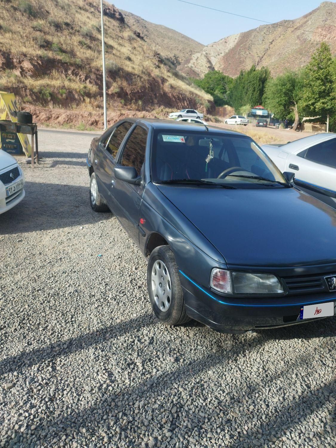 پژو 405 GL - دوگانه سوز CNG - 1370