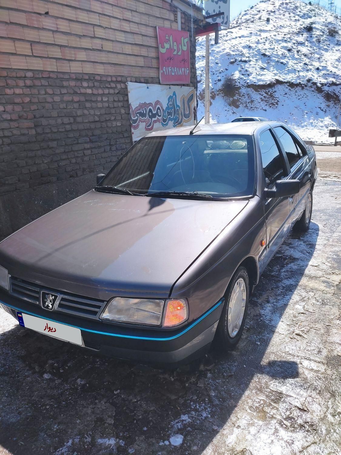 پژو 405 GL - دوگانه سوز CNG - 1369