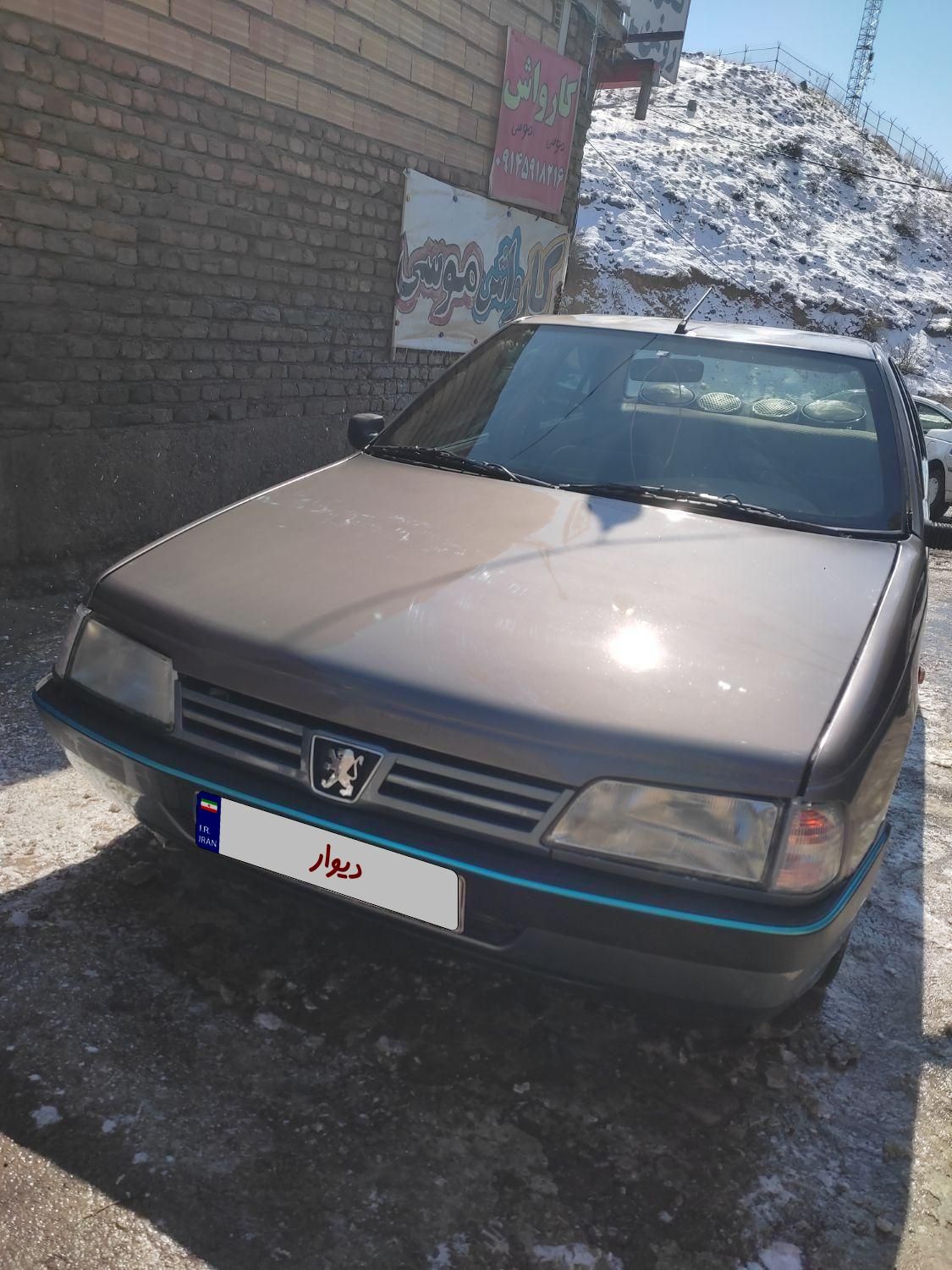 پژو 405 GL - دوگانه سوز CNG - 1369