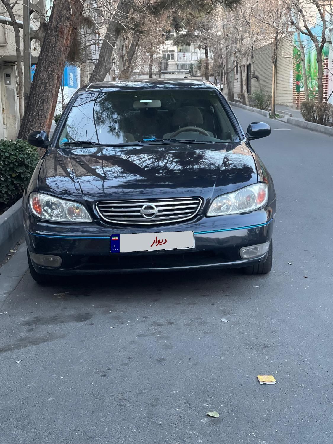 خودرو نیسان، ماکسیما آگهی ann_18248749