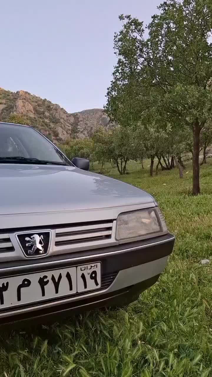 پژو 405 GLX - 1392