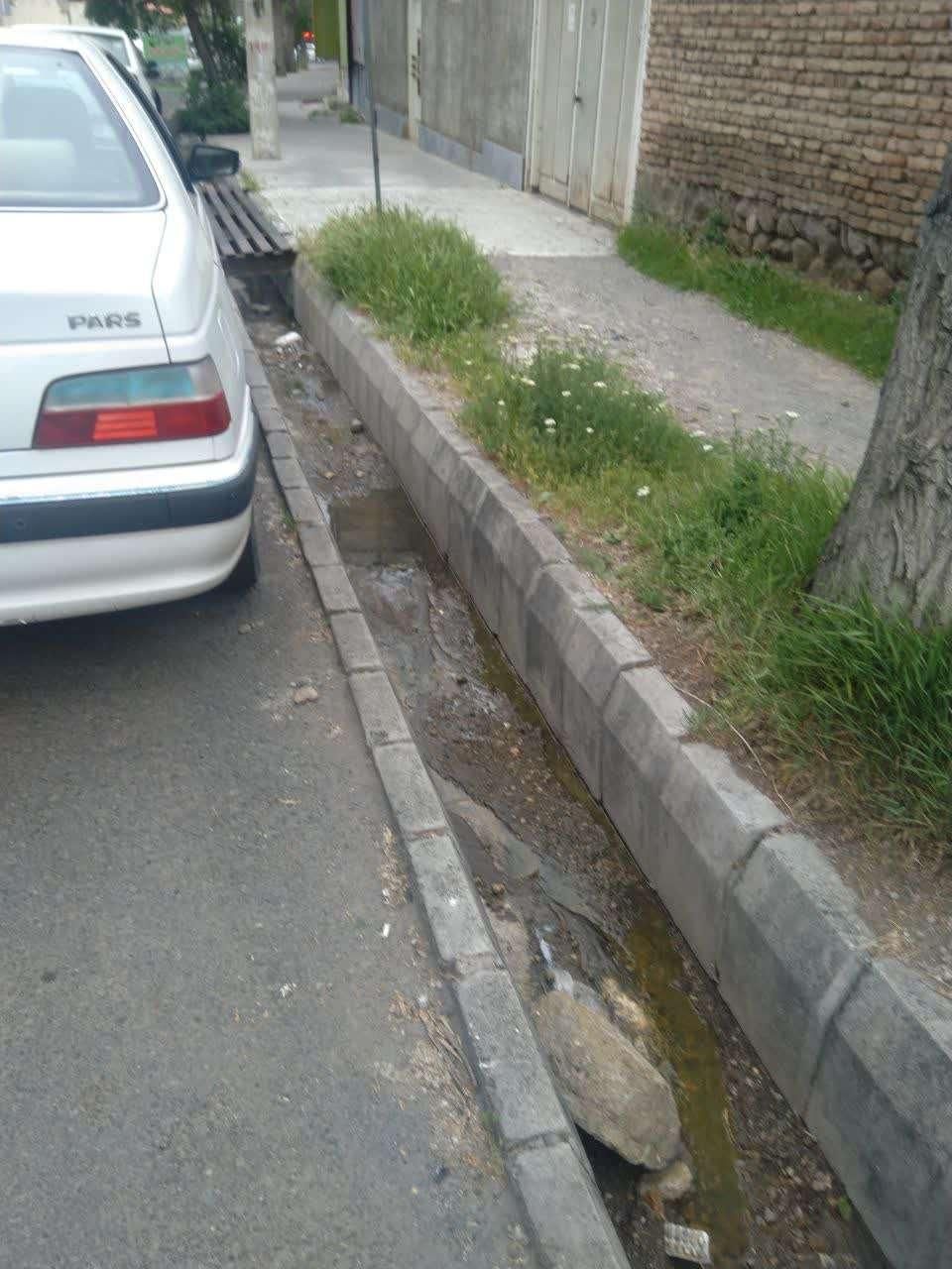 خودرو پژو، پارس آگهی ann_18251404