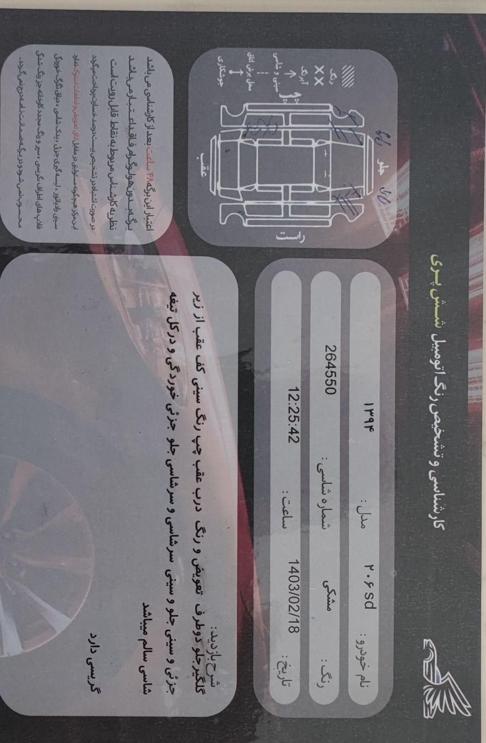 پژو 206 تیپ 5 - 1394