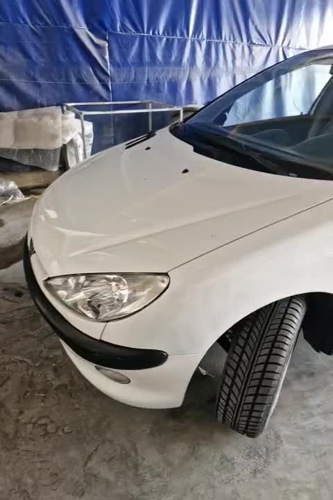 خودرو پژو، 206 آگهی ann_18253309